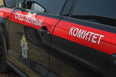 В российском регионе стая бродячих собак напала на ребенка