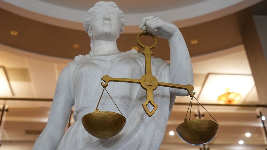 Административную ответственность снимут с готовых устранить нарушения
