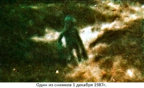 Бермудский треугольник в английском графстве Йоркшир