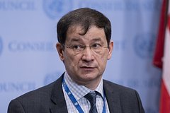 Дипломат назвал причину отсутствия пошлин США против России